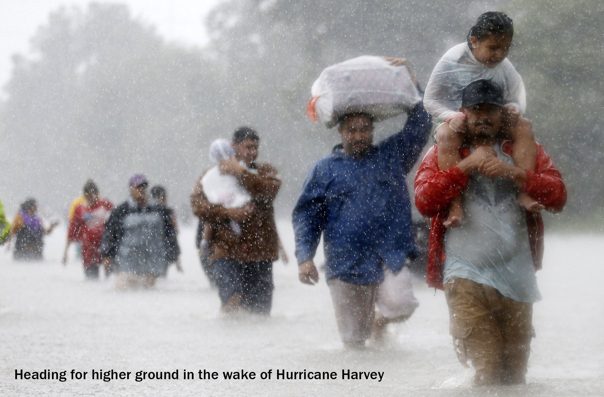 Hurricane Harvey Survivors