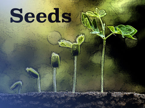 Seeds